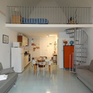 House Sasanelli
